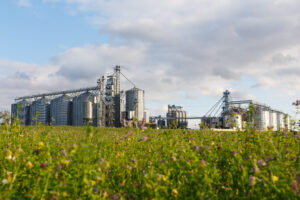 Campo com vegetação e silos metálicos de armazenamento de grãos ao fundo sob céu parcialmente nublado.