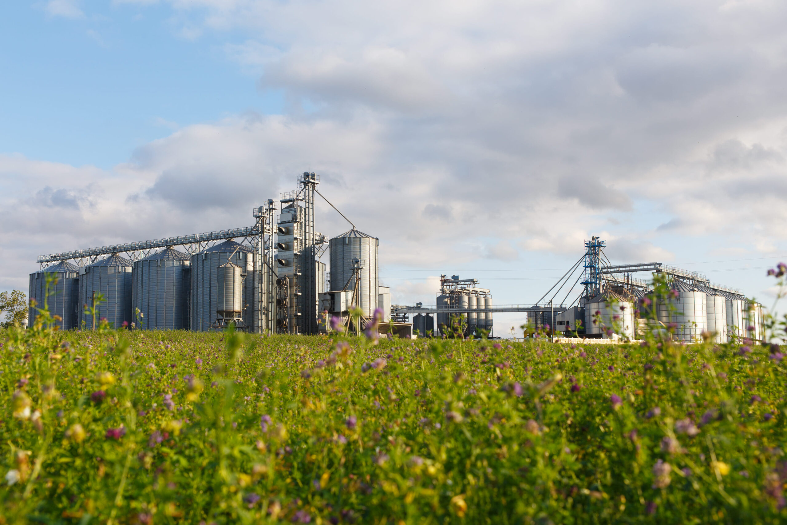 Campo com vegetação e silos metálicos de armazenamento de grãos ao fundo sob céu parcialmente nublado.