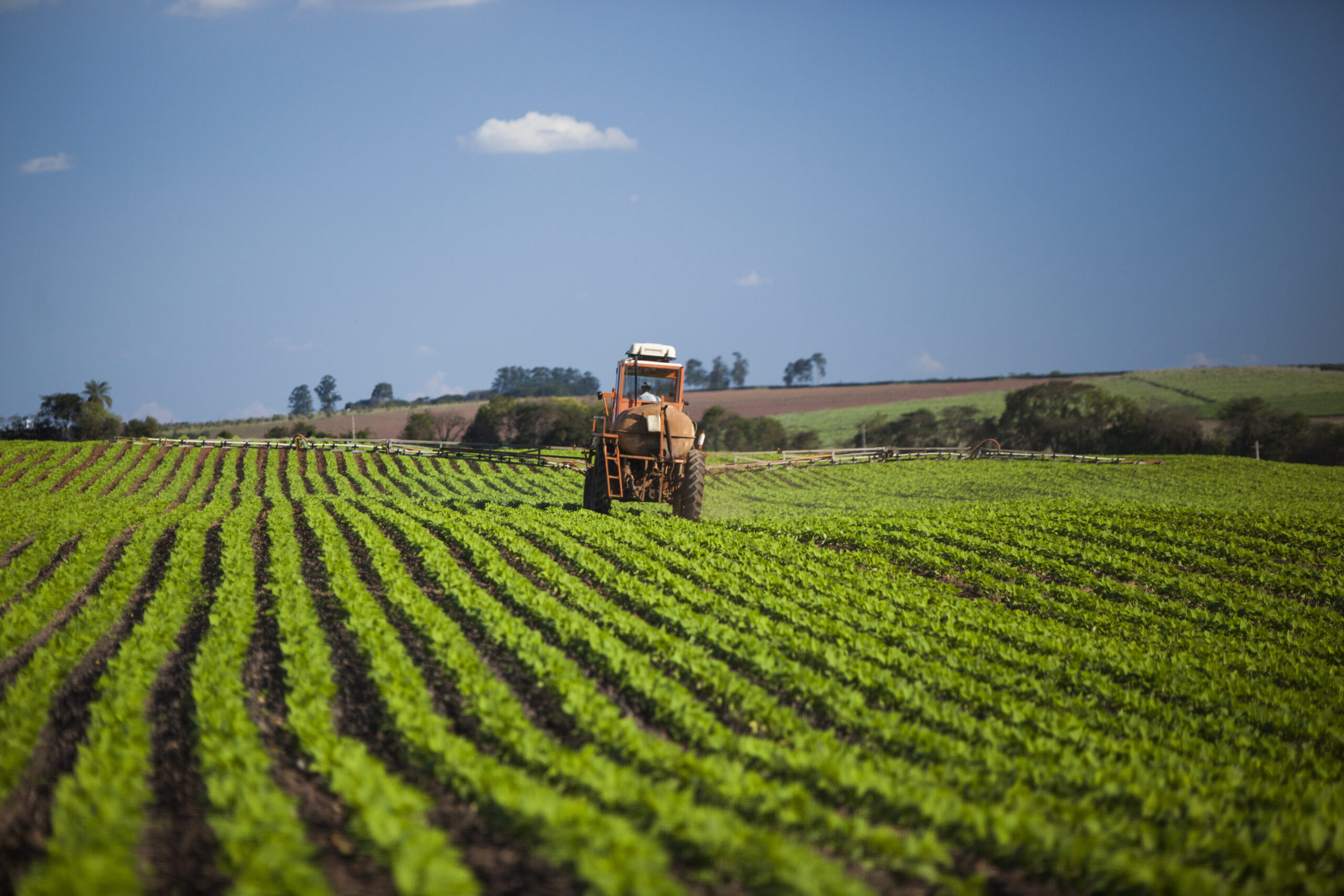 Trator percorre fileiras de plantação verde em terreno agrícola sob céu azul claro.